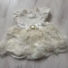 Item thumbnail for item d07cee41-ece3-4085-a7c1-1a07e15012bf