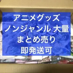 アニメグッズ ノンジャンル 大量 まとめ売り 100サイズ 詰め合わせ