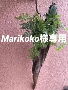 Marikoko様専用 益子焼 塗分3寸豆皿
