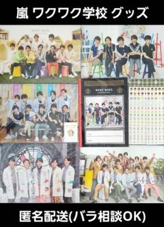 嵐のワクワク学校 クリアファイル ノート シール ピンバッジ