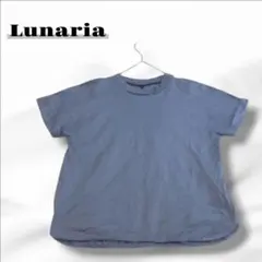 Item thumbnail for item 8ed4d38c-7899-420b-8a94-db441a873706