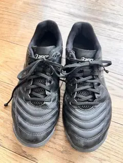 Item thumbnail for item 51db9e59-8e33-4554-880a-b8393b2d9447