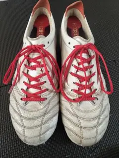 Item thumbnail for item 70cacaed-b7c2-4358-90ae-ce069e985e74