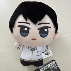 ハイキュー!! ちびぐるみ なつふく!! vol.1 ぬいぐるみ マスコット