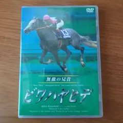ビワハヤヒデ DVD 競馬