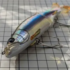 Item thumbnail for item 7545dddf-58a7-4c03-914e-ab03a9f04f14