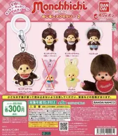 モンチッチ めじるしアクセサリー2 セミコンプ　5種セット