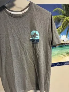 パタゴニア pataloha パタロハ グラフィックグレー ハワイ限定