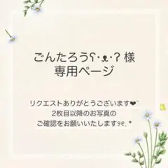【住民】 190 メリヤス どうぶつの森 amiiboカード