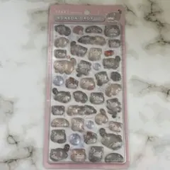 【正規品】ボンボンドロップシール マヌルネコ