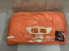 Item thumbnail for item f13adb15-c681-48c8-b637-f3d1368f5023