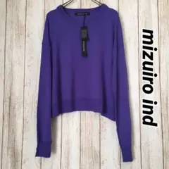 《未使用》mizuiro indニット