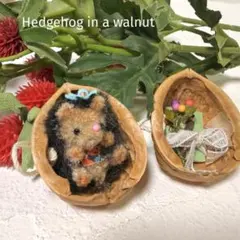 ハンドメイド　くるみの中にハリネズミちゃん　No.017