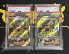 カナリィ SR SAR PSA10 連番 2枚セット GEM MINT 10 - メルカリ