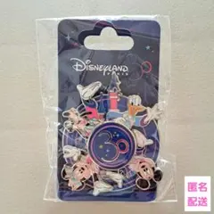 2025年最新】ディズニーランドパリ30周年グッズの人気アイテム - メルカリ