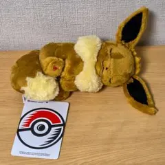 【新品】ポケモンセンター イーブイ ぬいぐるみセット