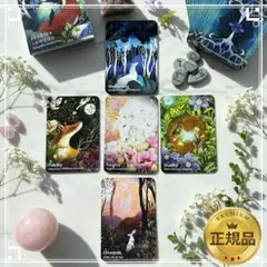 正規品オラクルカード】新装版✨キュート＆癒し✨可愛い猫たちの知恵の