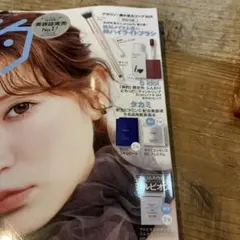 美的　付録