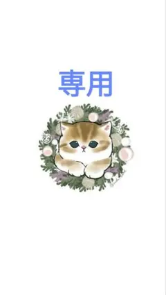 銀河様 リクエスト 3点 まとめ商品