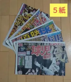 2025年 阪神タイガース優勝 スポーツ新聞5紙セット