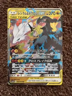 2025年最新】レシラム&ゼクロムgx rrの人気アイテム - メルカリ
