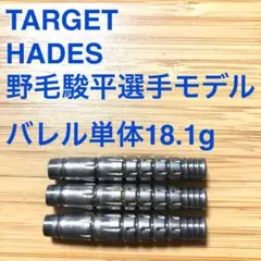 野毛駿平モデル HADES ハデス TARGET ターゲット 定価/14055円