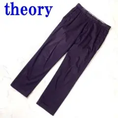 theory セオリー カジュアルチノパンツパープル30 C151