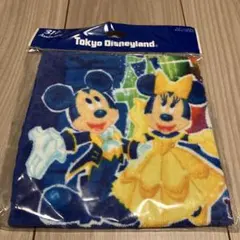 東京ディズニーランド ミッキー ミニー タオル