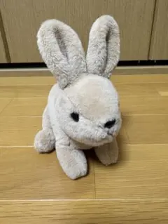 おさるのジョージ スポッティ 水玉ウサギ 絵本マーグレットEレイ