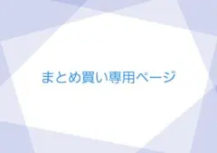 あい様 リクエスト 2点 まとめ商品