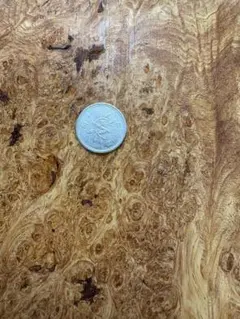 Item thumbnail for item d0ba3b8f-bcd0-4da5-bc18-cca34f36c422