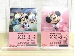 ディズニー リゾートライン リゾラ フリーきっぷ 3/2 ミニー