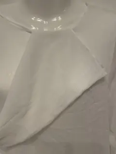 【GRL】シースルーカットソー