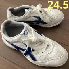 Mizuno スポーツ　体育館シューズ ホワイト/ブルー　24.5