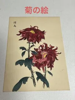 菊の絵 版画？ 品種名 清涼殿 - メルカリ