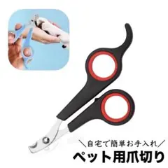 Item thumbnail for item 4ba7e9b9-1da1-43c2-8cf0-a7b7bdad1edc