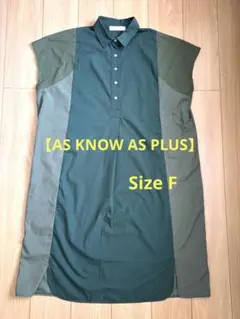【美品】AS KNOW AS PLUS ワンピース チュニック 半袖 Fサイズのサムネイル