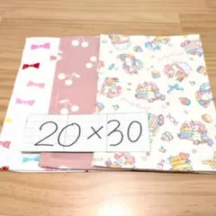 女の子柄♪ランチョンマット20×30♪１枚仕立て・3枚セット