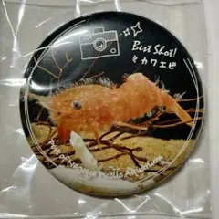 名古屋港水族館　缶バッジのサムネイル