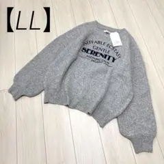 【新品】 ニット　LL 長袖　レディース　大きいサイズ　ゆったり　グレー　秋冬