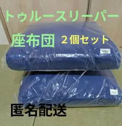 【まつ様専用】トゥルースリーパー 座布団2個セットのサムネイル
