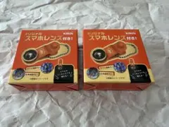 ★2個セット KIRIN キリングッドエール　オリジナルスマホレンズ★