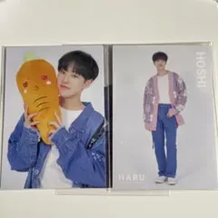 SEVENTEEN ホシ　HARU トレカ 2枚セット