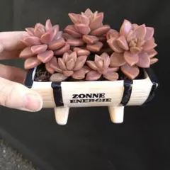 すーさん様 リクエスト 2点 まとめ商品