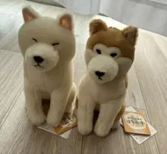 ほっこり秋田犬 はち兵衛 VMC 3点セット ぬいぐるみマスコット - メルカリ