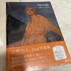 Item thumbnail for item 51bb6c9d-8056-4915-a3cf-3a174c9129bf