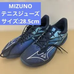 Mizuno Wave Exceed Tour 2 テニスシューズ