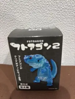 2025年最新】フトアゴンの人気アイテム - メルカリ
