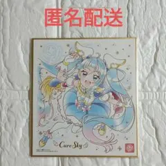 ひろがるスカイプリキュア　キュアスカイ　色紙アート