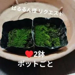 はるるん様 リクエスト 3点 まとめ商品